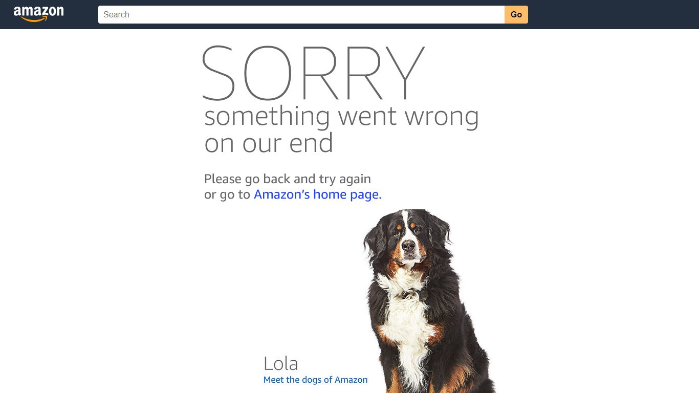 Amazon.com: bulletin board borders for